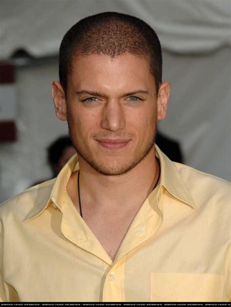 wentworth miller vermögen|Wentworth Miller Vermögen